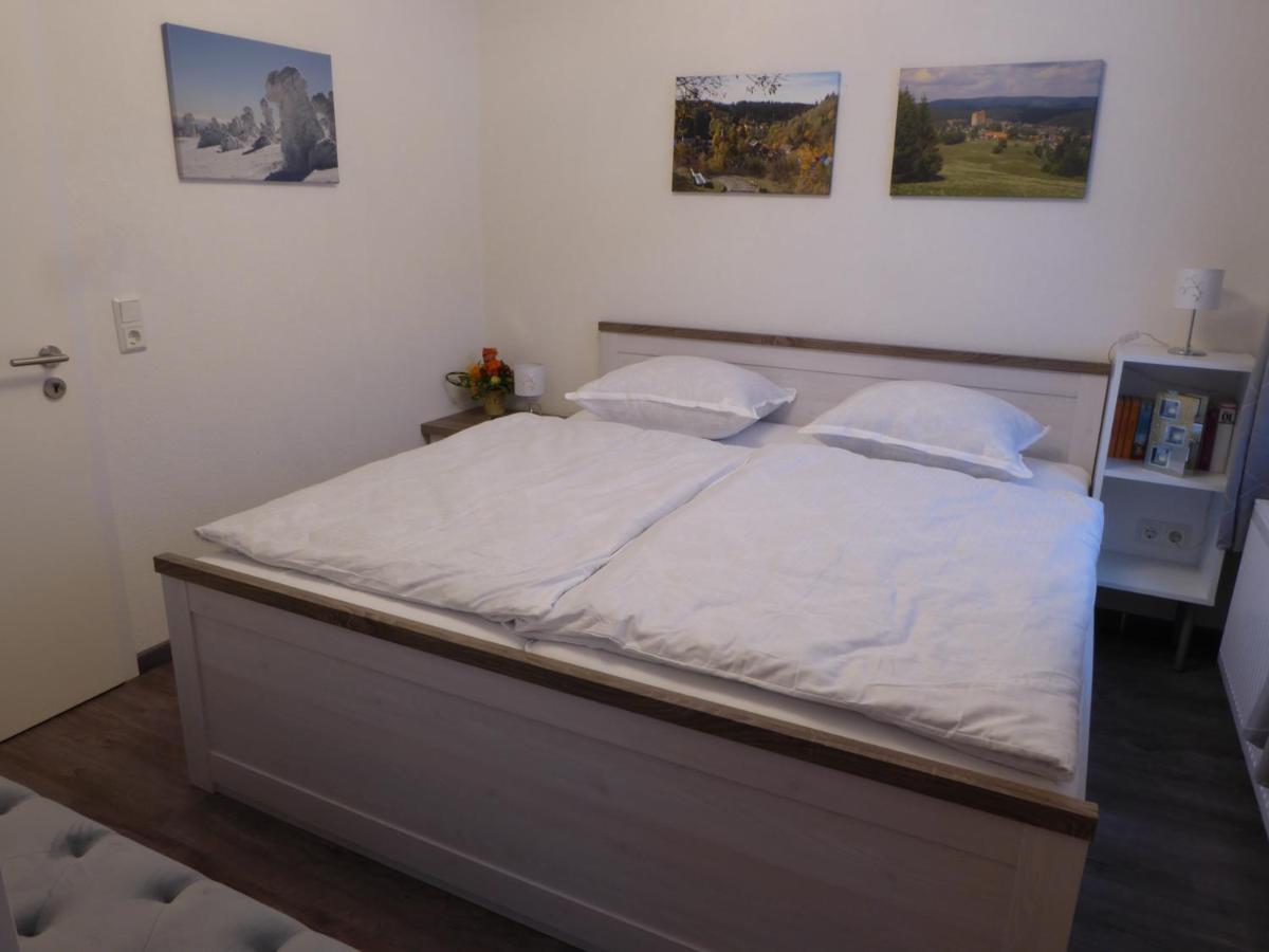 Haus Am Hang Altenau  Exteriör bild